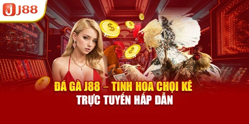 Đá Gà J88vip.io