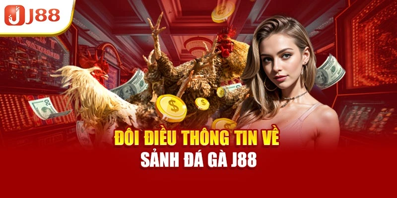 Đôi điều thông tin về sảnh đá gà J88