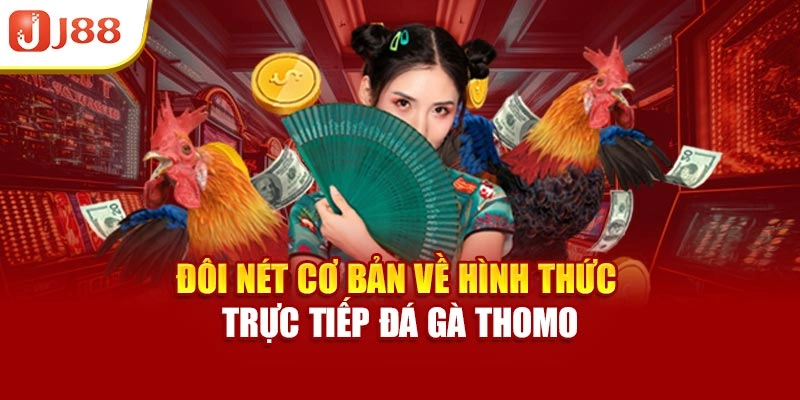 Đôi nét cơ bản về hình thức trực tiếp đá gà Thomo