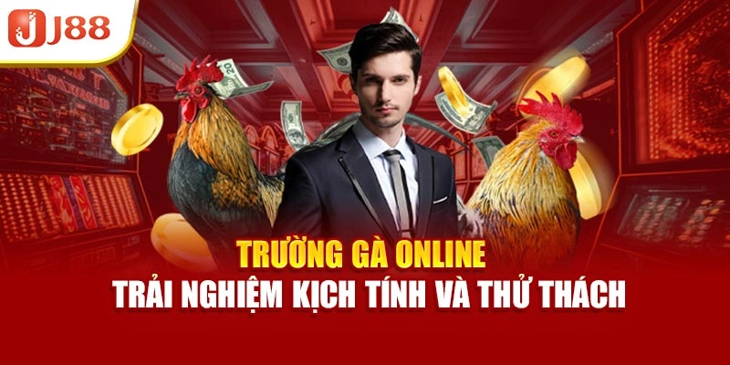 Trường Gà Online – Trải Nghiệm Kịch Tính Và Thử Thách